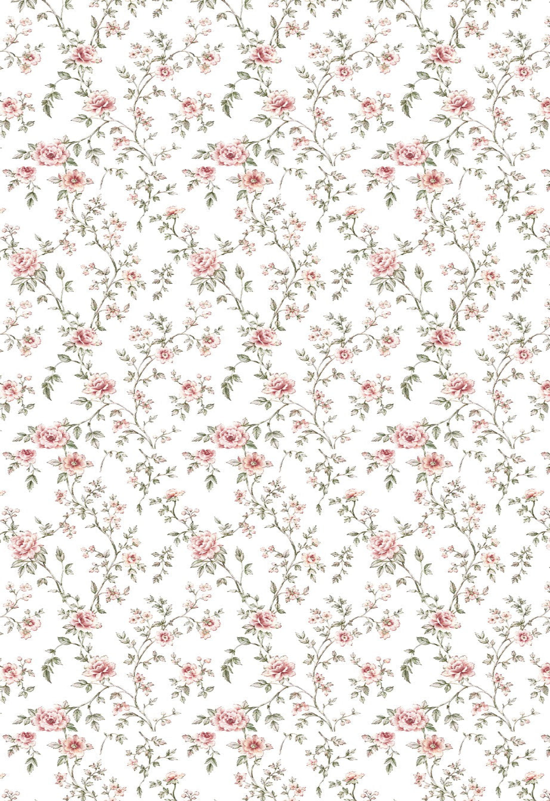 Linen Sheer - Floral Print - Pack Of 1 Curtain